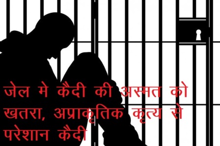 central jail udaipur