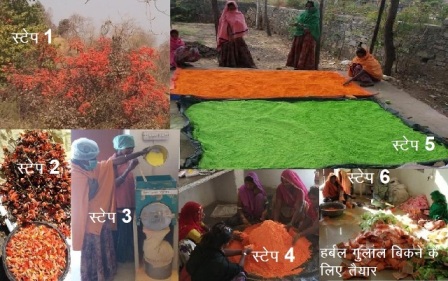 harbal gulal process