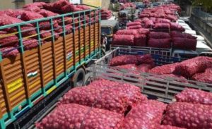 farmers oroduction of onion