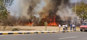 udaipur fire in forest opposite MPUAT