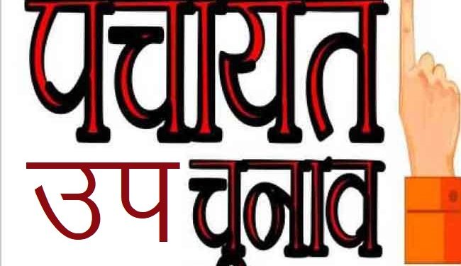 Udaipur Politics Hindi News