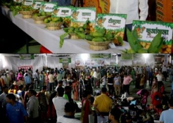 banswara Mango festival 2019