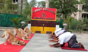 defence spokeperson yogaday2019 (1)