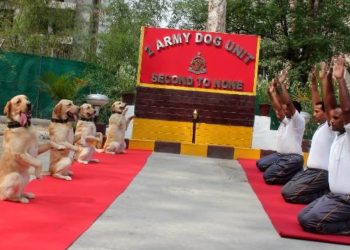 defence spokeperson yogaday2019 (2)