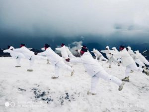 defence yoga day 2019