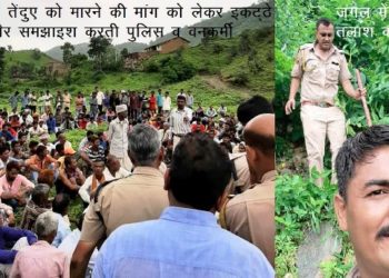 man eater panther killed man