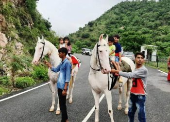 udaipur phoolon ki ghati horse riding start