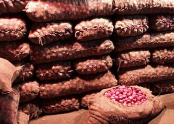 onion theft in patna godown