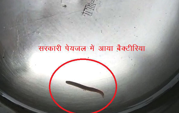 bactiria in drinking water