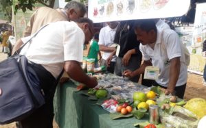organic farming association on india organised organic mahotsav 2019 in udaipur2