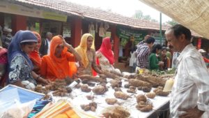 organic farming association on india organised organic mahotsav 2019 in udaipur3
