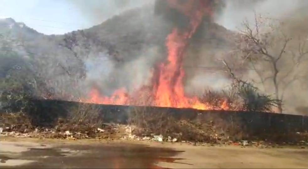Fire at kodiyat forest hill area in udaipur2