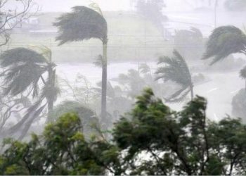 12 person died in amfan cyclone in west bengal or odisha