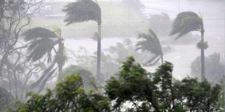 12 person died in amfan cyclone in west bengal or odisha
