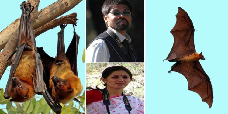 bat is not responsible for corona virus it made in lab (1)