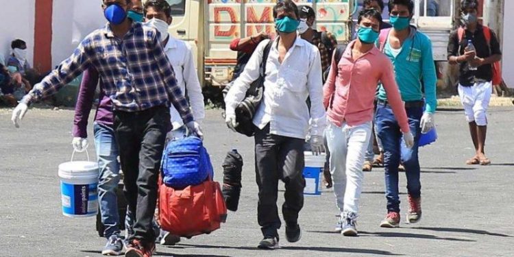 migrants return their home udaipur