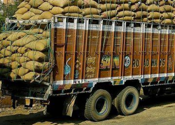 udaipur sog seized 50 tons wheat of government in amarpura village