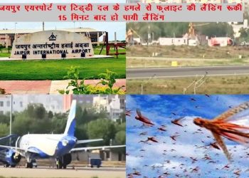 tiddi attack on jaipur airport flight landing delayed