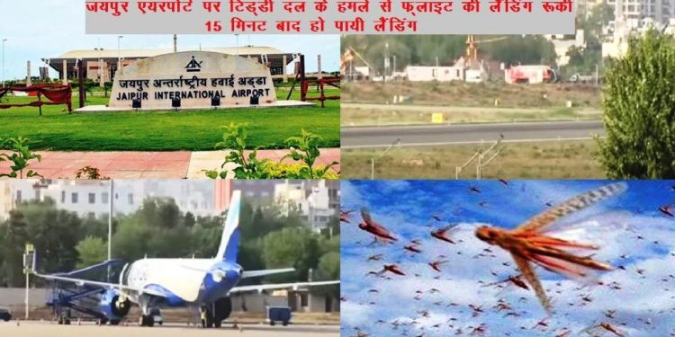 tiddi attack on jaipur airport flight landing delayed
