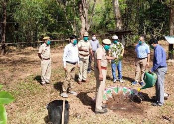 world environment day 2020 celebration in udaipur