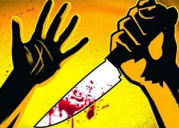 lady murdered by unknown in gokul village udaipur