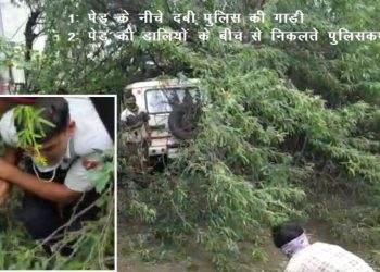 tree fall down on police vehicle at chetak circle