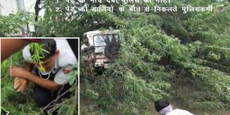 tree fall down on police vehicle at chetak circle