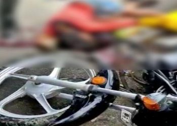 10 year old boy died in road accident near savina sabji mandi udaipur