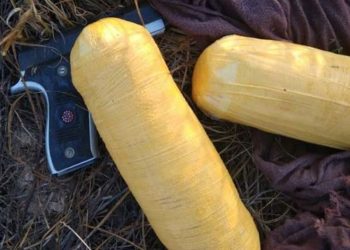 BSF killed 2 Pakistani Smuggler In Shr Ganganagar