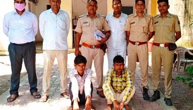 tortoise smuggler arrested with dead tortoise or 2 lakhs rupees in shahpura jaipur