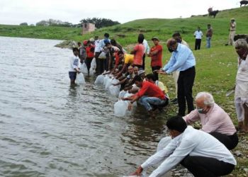 udaipur green pipal society take responsibility of nandeshma suthar madara talab