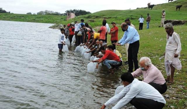 udaipur green pipal society take responsibility of nandeshma suthar madara talab