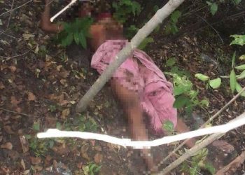panther killed women in kevde ki nal udaipur