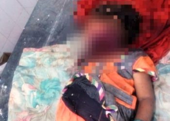 panther kills a 4 year old baby in gogunda udaipur