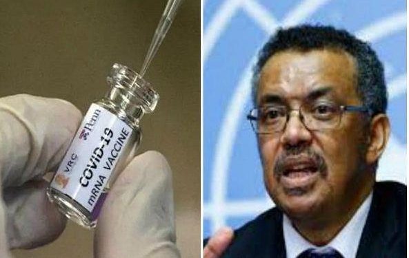 who dg tedros said on corona vaccine is important for economic revolution