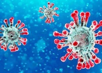 britain returns 5 nri test corona positive in udaipur suspected of corona new strain