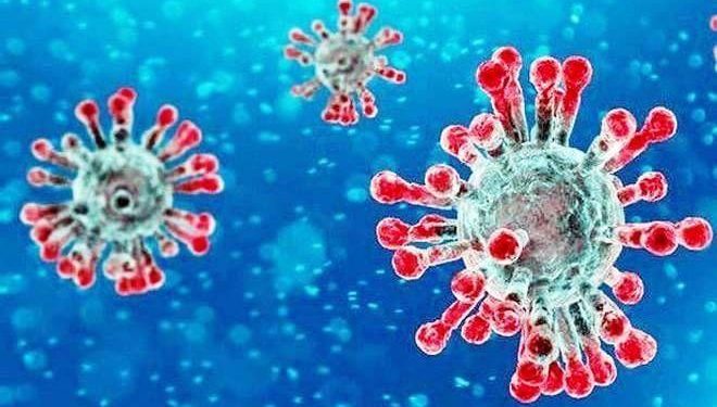 britain returns 5 nri test corona positive in udaipur suspected of corona new strain