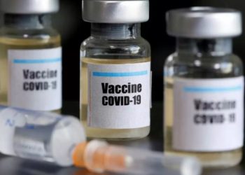 corona vaccine will use in four groups in first phase in udaipur