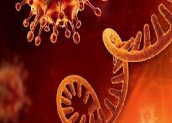 SARS-CoV-2 corona strain 50 case positive in india