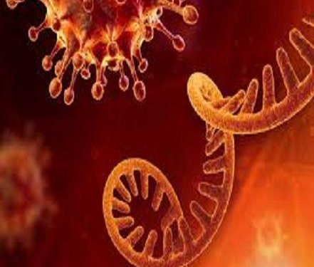 SARS-CoV-2 corona strain 50 case positive in india