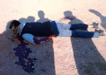 udaipur biker man died after kite chinese manjha slits throat