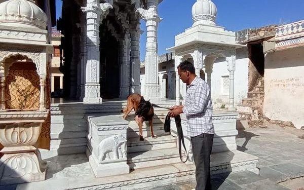 bhilwara famous jagdish temple robbery