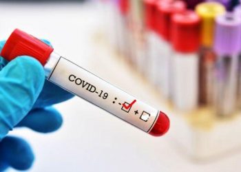 corona rtpcr negative report compulsory for travelling to rajasthan