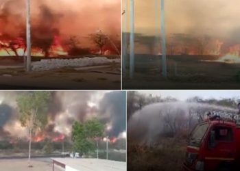 massive fire at forest hill dungarpur rajasthan