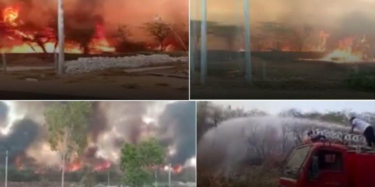 massive fire at forest hill dungarpur rajasthan