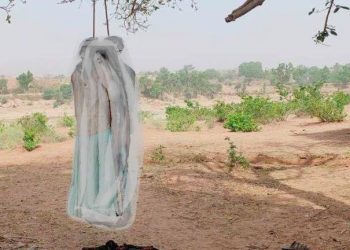 love couple suicide in semari udaipur