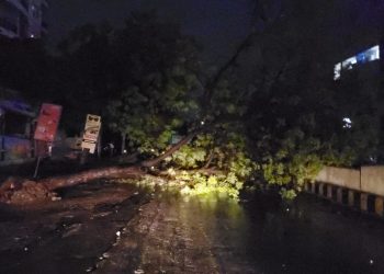 ताऊते तूफान की उदयपुर में एंट्री: रात 1 बजे के बाद कभी भी उदयपुर में प्रवेश कर सकता है ताऊते