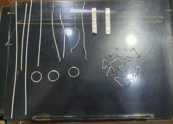 customs department seized gold worth rs 17 lakhs at jaipur airport passenger came from dubai