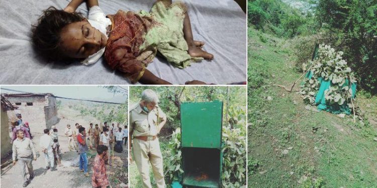 panther attack on 5 year old girl in jawarmines area udaipur