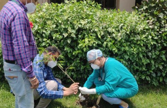 plantation in gbh hospital udaipur on world environment day 2021